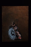 It doesn´t bite